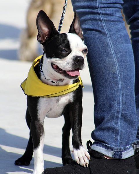 Firjan estima R$ 526,3 bilhões em investimentos no Rio até 2028