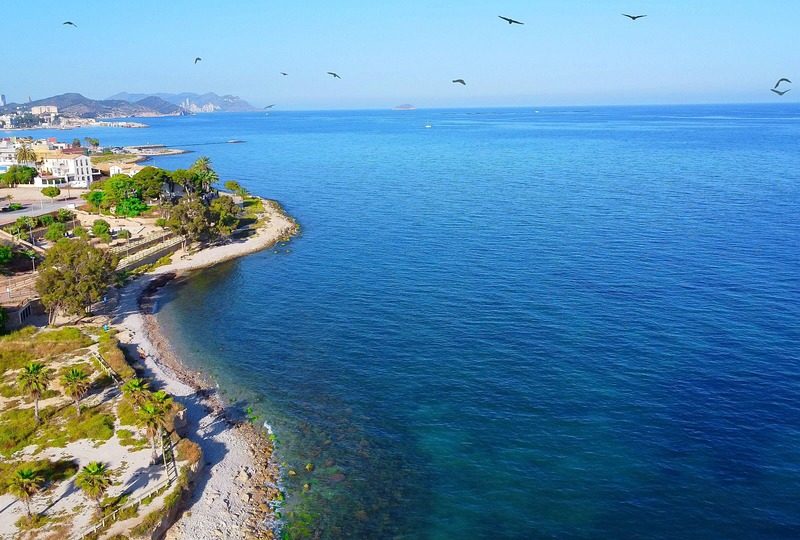 Marcelo Melo é campeão do ATP 500 em Acapulco nas duplas