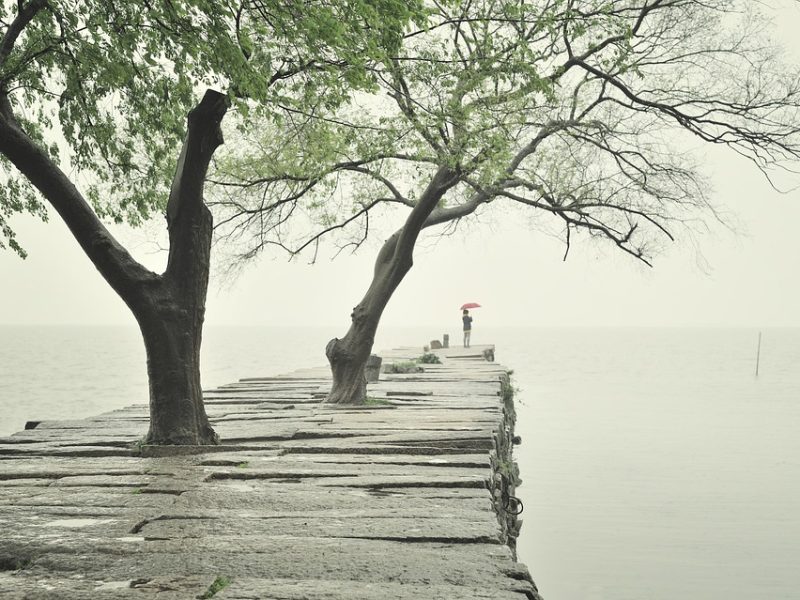Quilombo Lajeado (TO) tem terras consideradas de interesse social