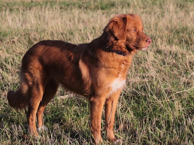 Trump faz nova ameaça e diz que Irã implora por acordo de cessar-fogo