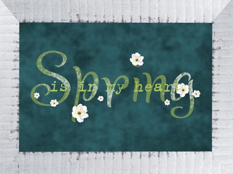 Ancelotti diz que Brasil pode competir com melhores equipes do mundo