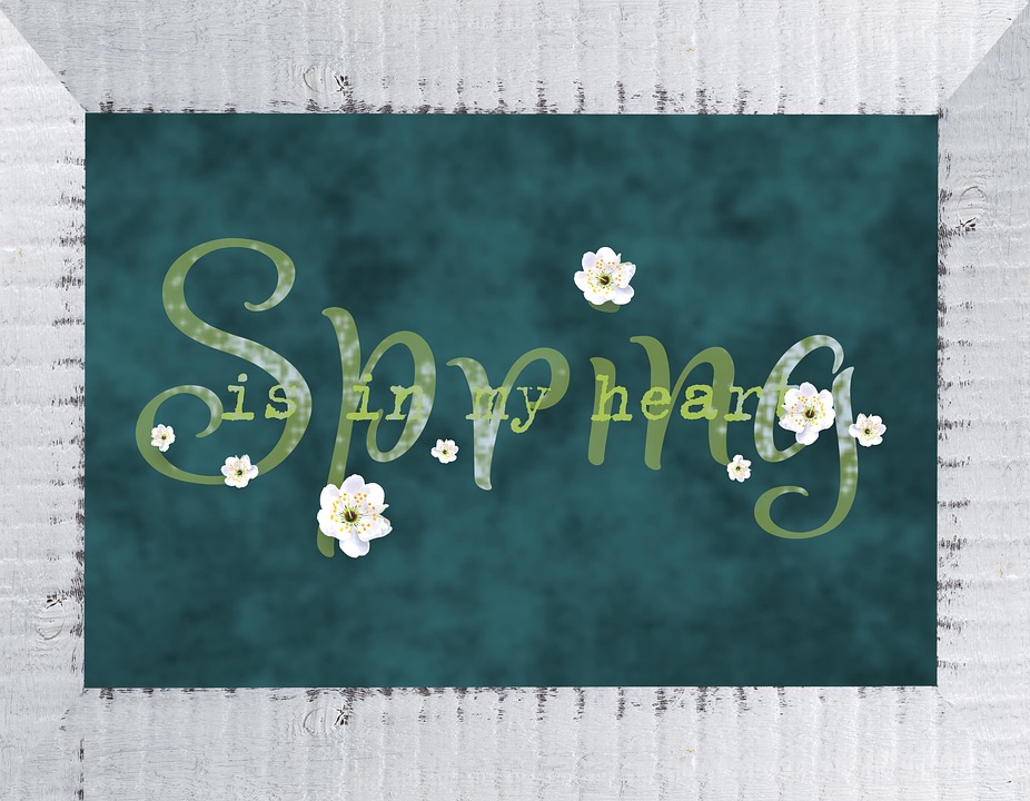 Ancelotti diz que Brasil pode competir com melhores equipes do mundo