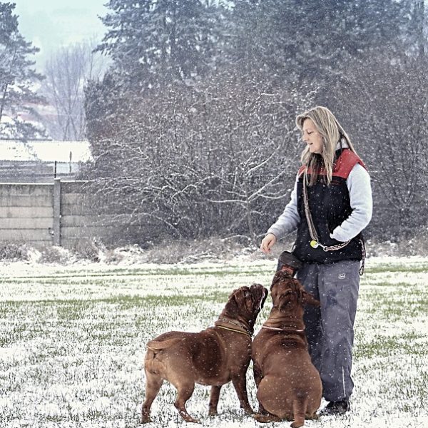 Supremo tem maioria para manter prisão preventiva de Daniel Vorcaro