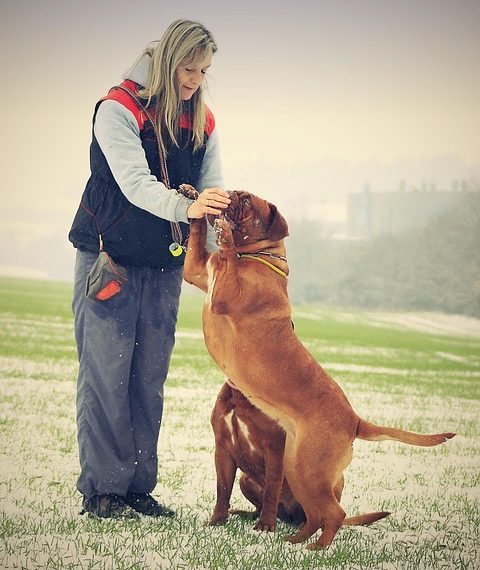 Galípolo: BC tem margem para avaliar impactos da guerra sobre o Brasil