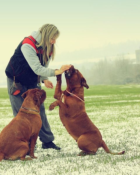 Bolsonaro tem piora da função renal e aumento de inflamação