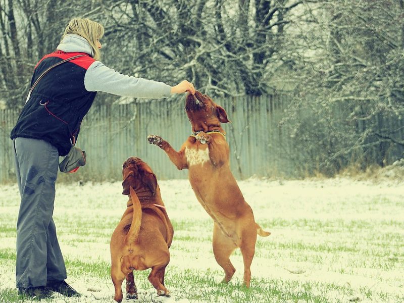 Brasil tem recorde de 66,8% dos trabalhadores na previdência social