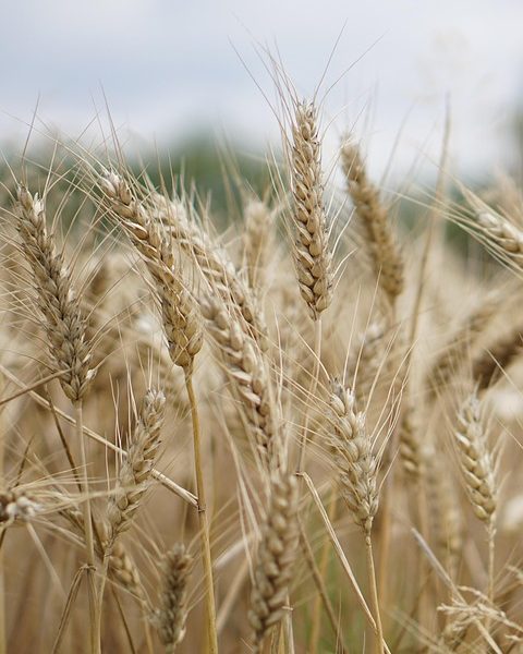 Setor privado assume gestão de infraestrura de escolas em Minas Gerais