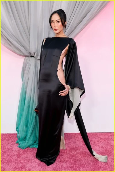 Fotos de celebridades do Fashion Trust nos EUA