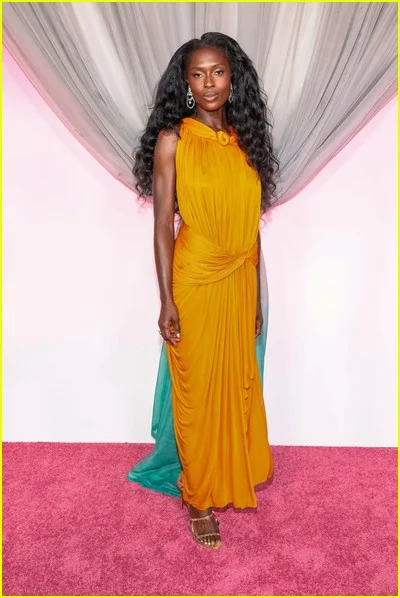 Fotos de celebridades do Fashion Trust nos EUA