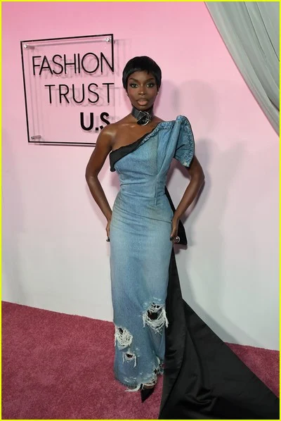 Fotos de celebridades do Fashion Trust nos EUA