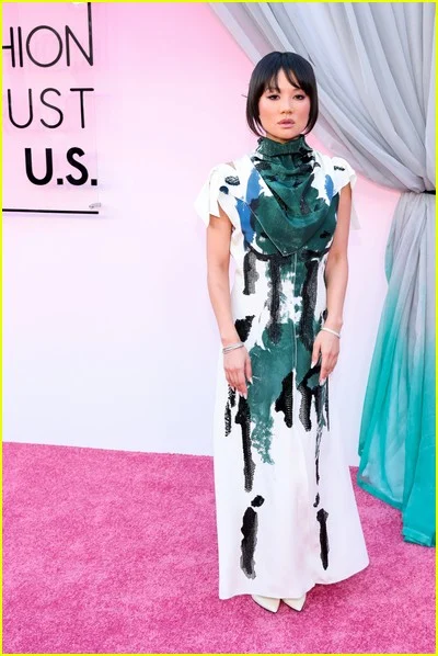 Fotos de celebridades do Fashion Trust nos EUA