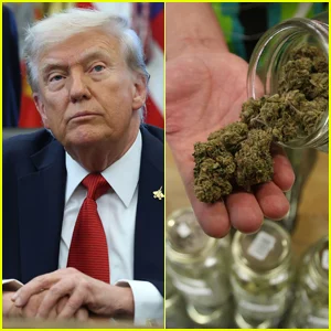 Trump DOJ reclassifica maconha medicinal para categoria menos perigosa, anunciada grande mudança de política