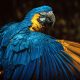 [post_title] Brazil news