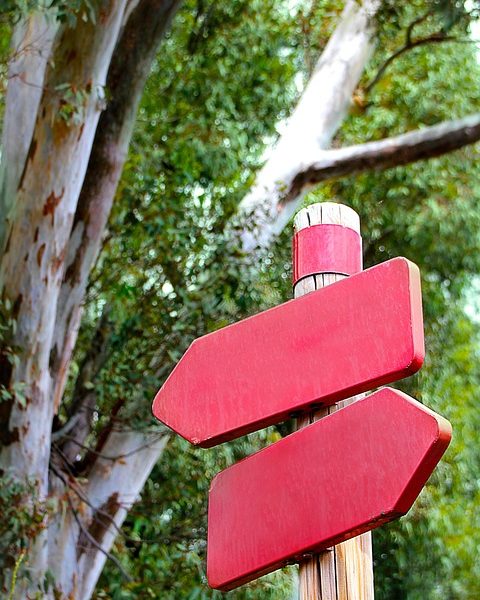 Decisões estrangeiras só valem após homologação do STJ, reafirma Dino