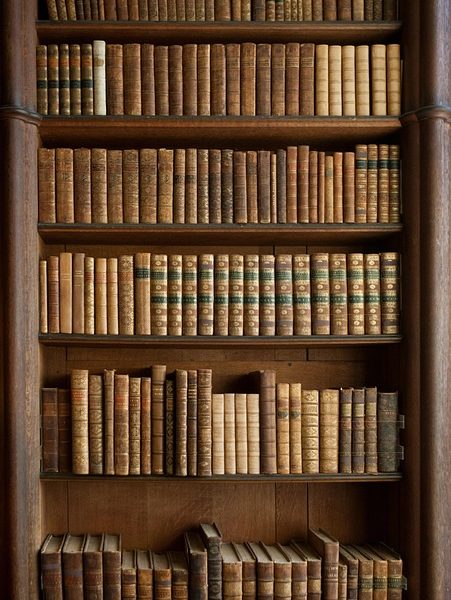 Livros sobre bloco Ilê Aiyê e mulheres no Axé são lançados em Salvador