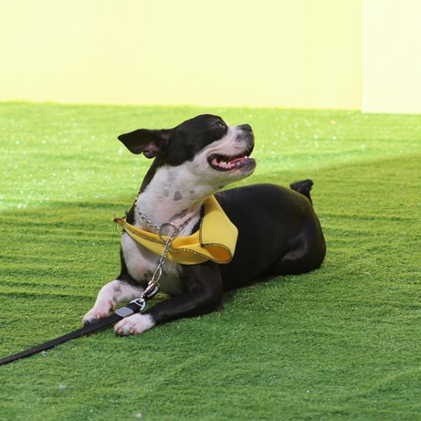 Oxfam estima em US$ 3,55 tri riqueza escondida em paraísos fiscais