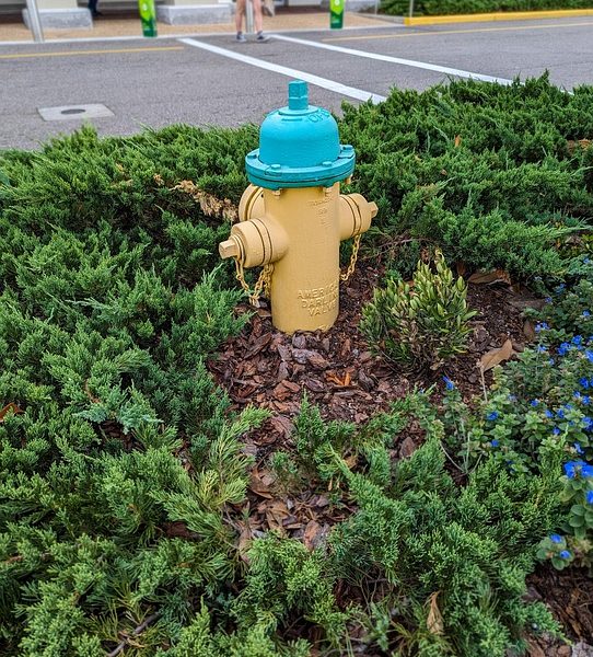 Frente Ambientalista lança plano para orientar agenda do Congresso