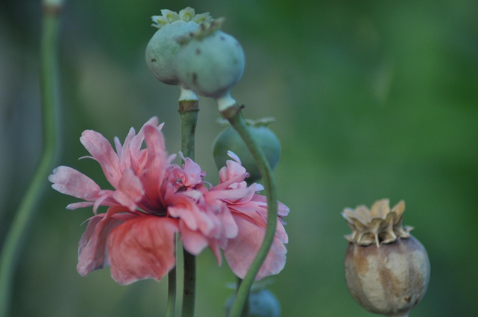 Mudanças aprovadas para o seguro-defeso previnem fraudes, diz relator