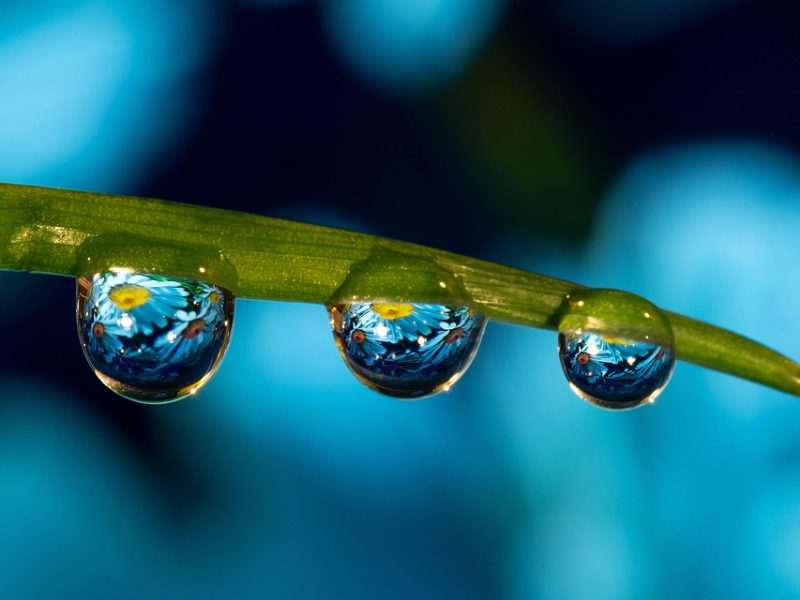 Lula sanciona lei do marco regulatório da vacina contra o câncer