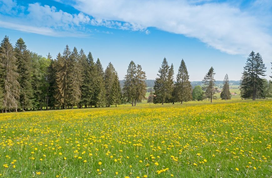 Júri condena ex-PM pelo assassinato do bicheiro Fernando Iggnácio
