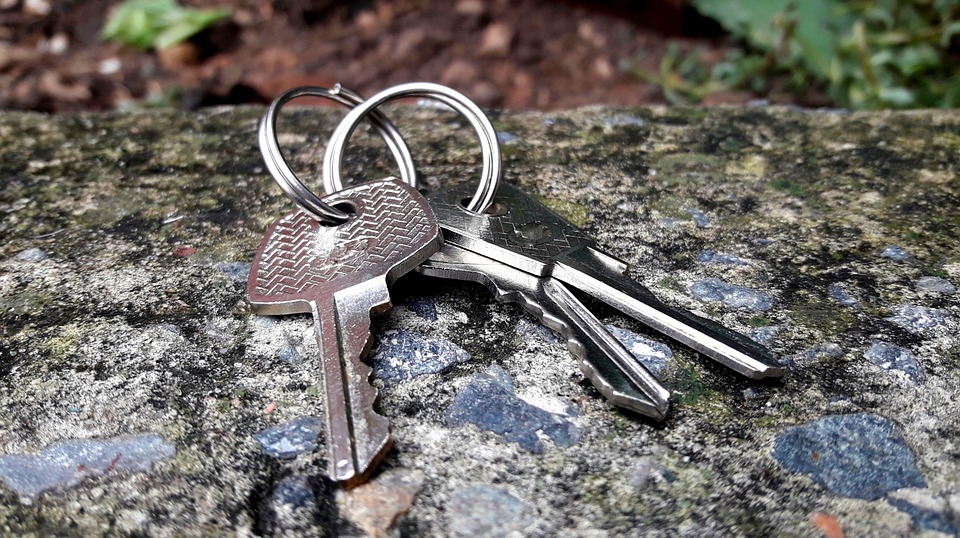 [post_title] Brazil news