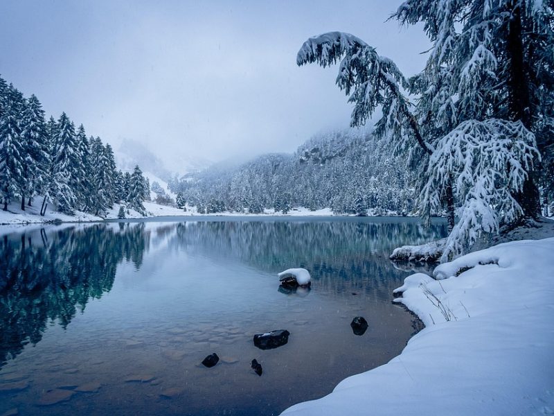 Em reedição das últimas finais, Sampaio bate Sesi Araraquara na LBF
