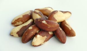 [post_title] Brazil news