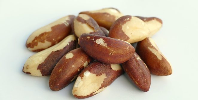 [post_title] Brazil news