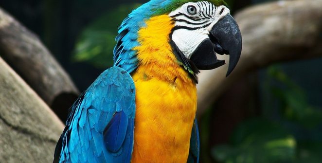 [post_title] Brazil news