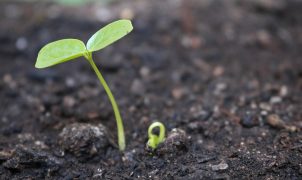 [post_title] Brazil news