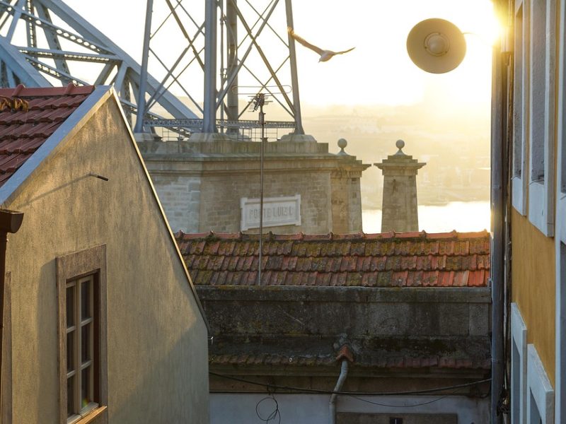 PM do Rio faz a maior apreensão de drogas da história do Brasil