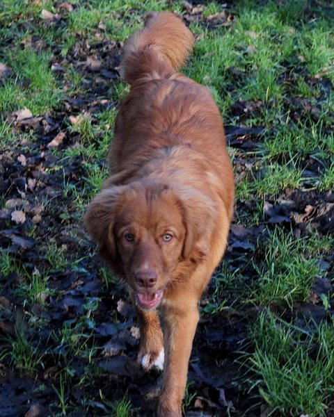 Petrobras faz nova descoberta no pré-sal da Bacia de Campos