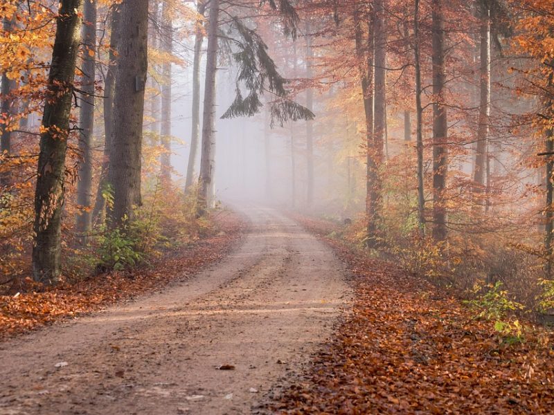 Mortes causadas por PMs aumentaram 35% em todo o estado de São Paulo