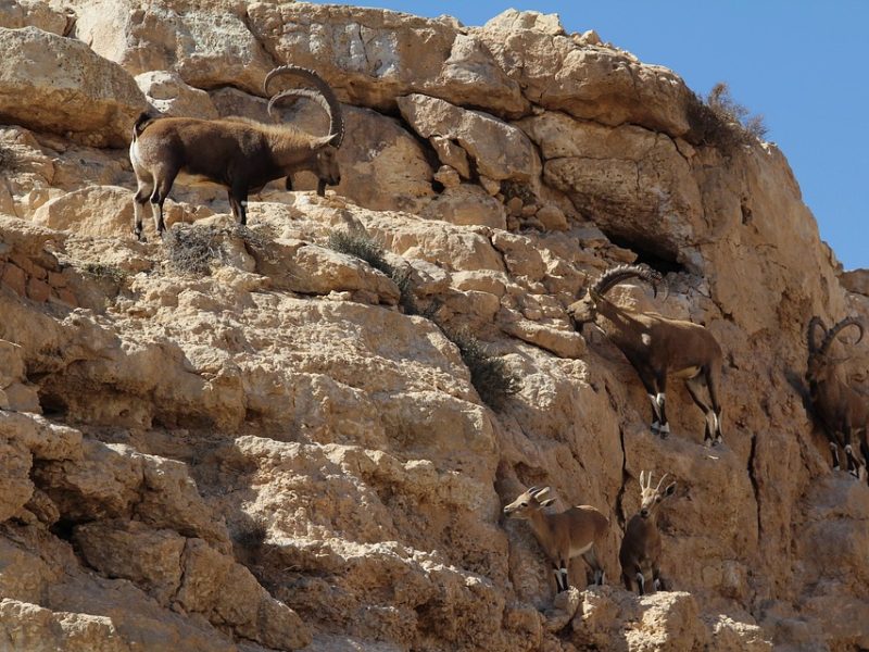 Israel e EUA atacaram 125 mil unidades civis e 32 universidades no Irã