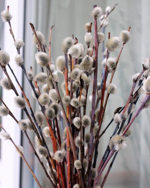 Verba para super poço em reserva indígena está garantida, diz ministro