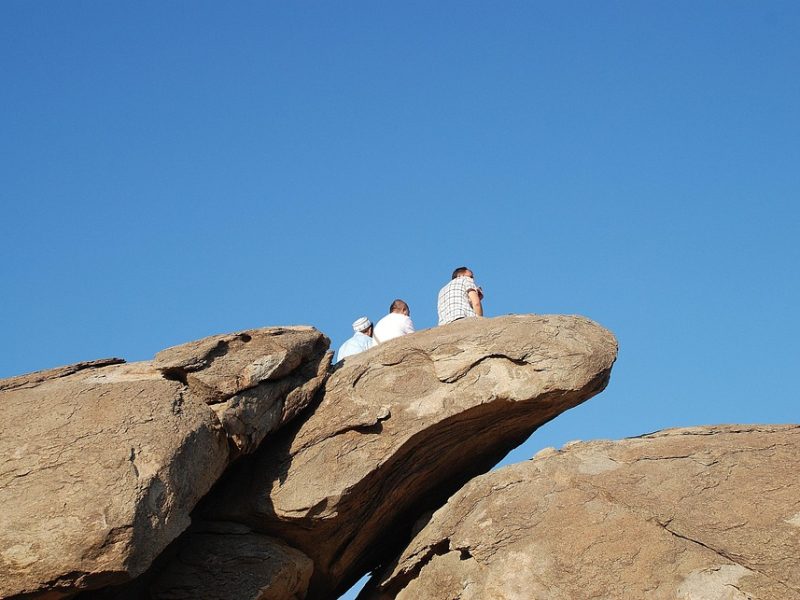 MEC Livros já teve quase 300 mil acessos a obras online