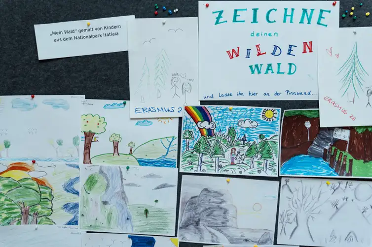 FOTO DE ARQUIVO - Exposição do Pico da Neblina. Foto: Parque Nacional da Floresta Negra da Alemanha/Divulgação