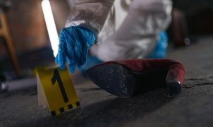 Crime scene investigation with shoe as evidence marked with number one and forensic glove.