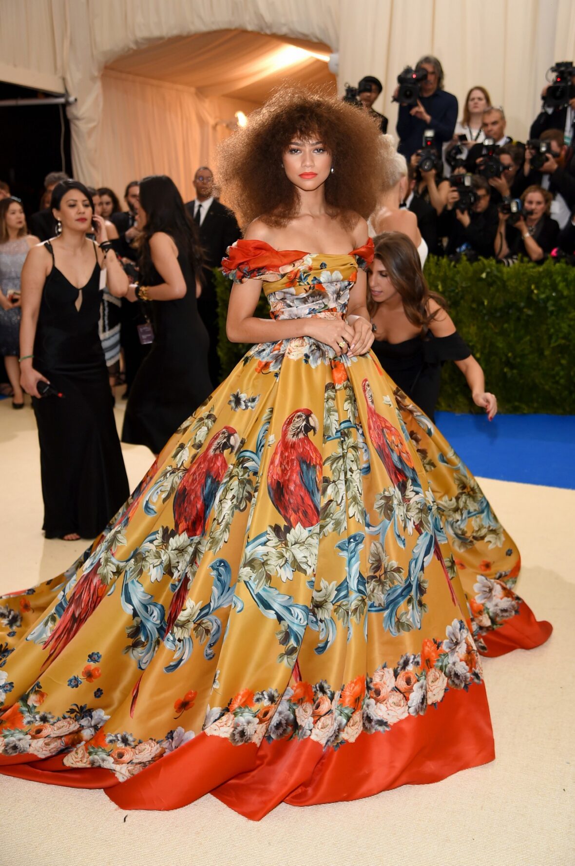 Zendaya passado conheceu gala