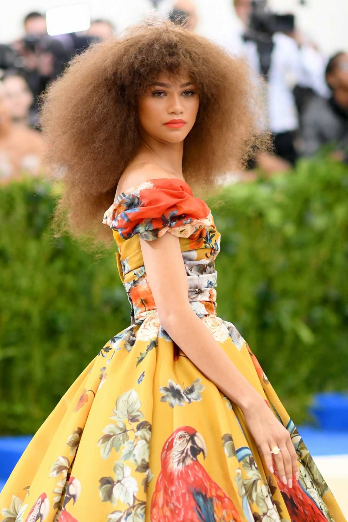 Zendaya passado conheceu gala
