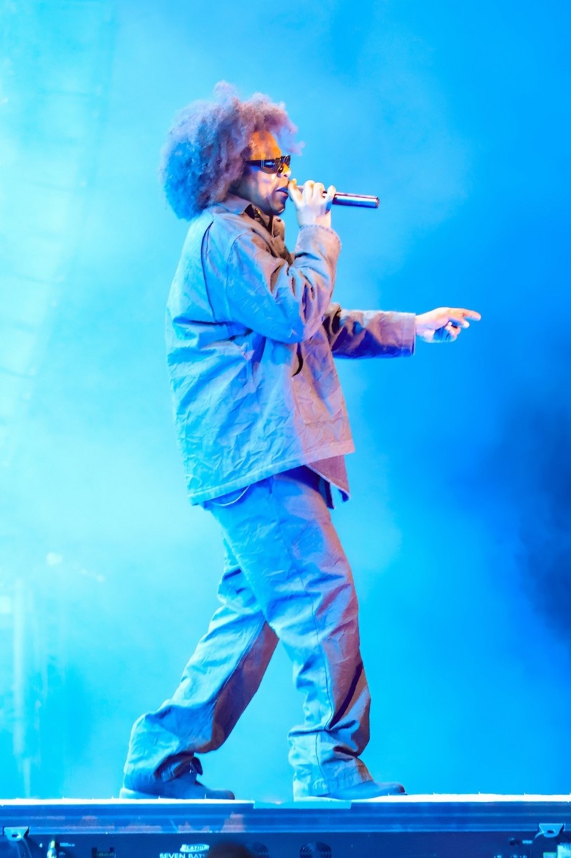 Piquenique de raízes de Jay Z