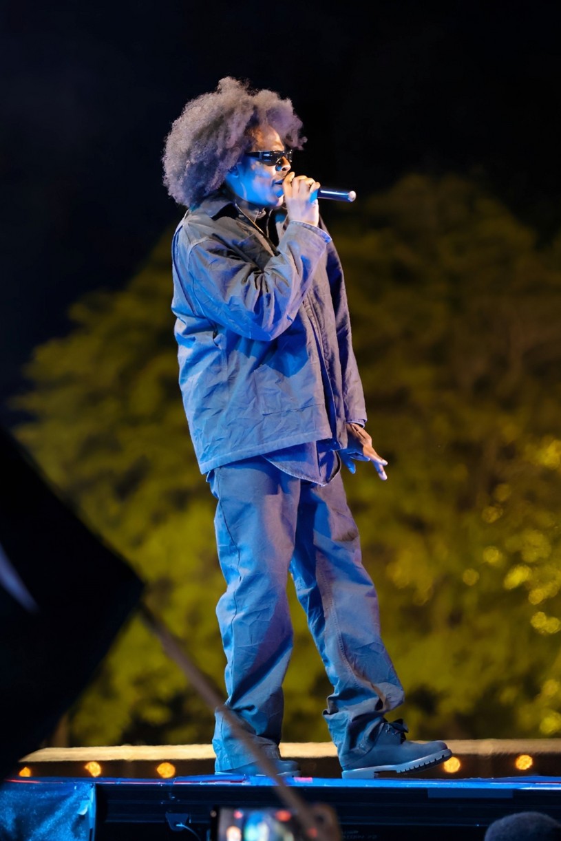 Piquenique de raízes de Jay Z