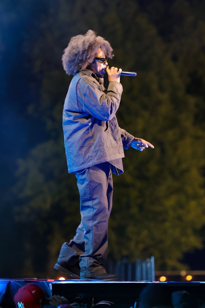 Piquenique de raízes de Jay Z