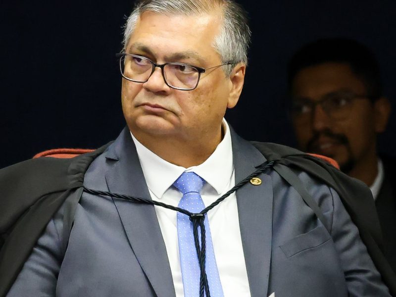 Dino dá 10 dias para governo mostrar plano de combate a incêndios