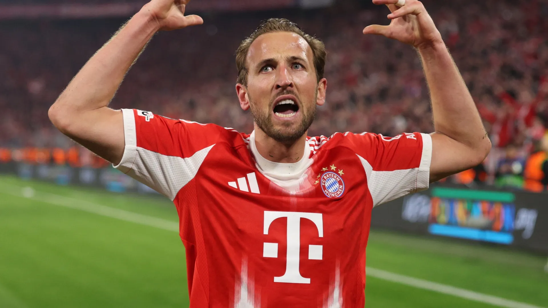 Harry Kane
