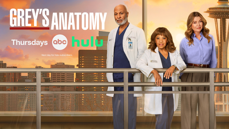 Pôster de Anatomia de Grey