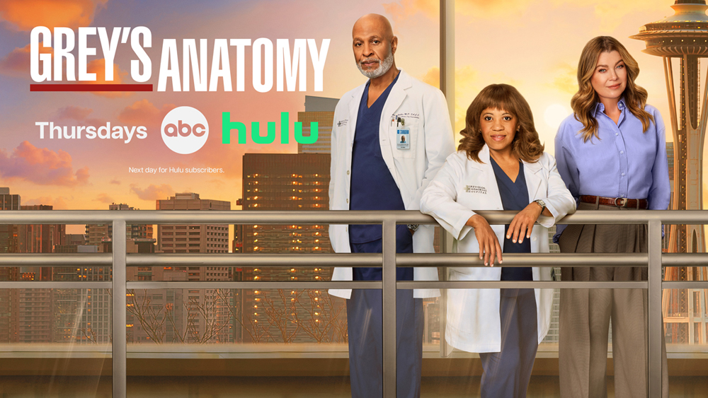 Pôster de Anatomia de Grey