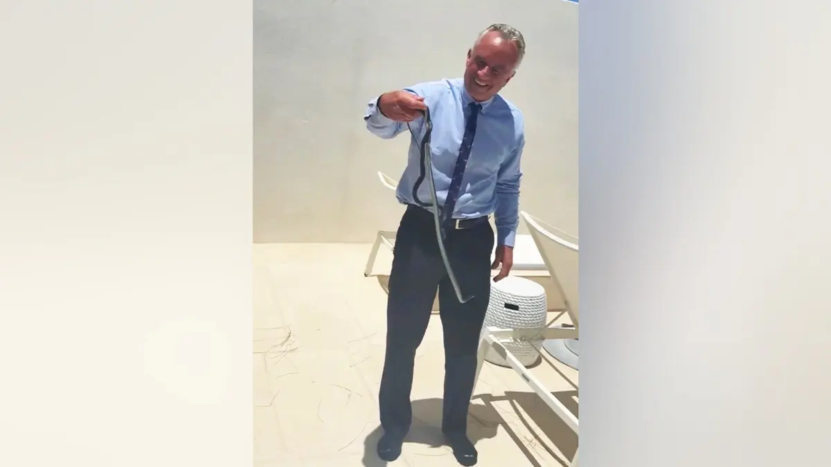 Health and Human Services (HHS) Secretary Robert F. Kennedy Jr. proudly displays a pair of black North American racer snakes