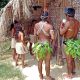 Brazil news [title_words]