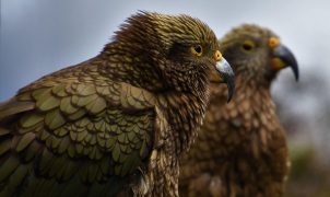 post_title] Brazil news